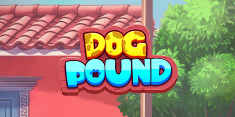 Dog Pound – Слот под лупой: разносим в пух и прах или советуем заценить?