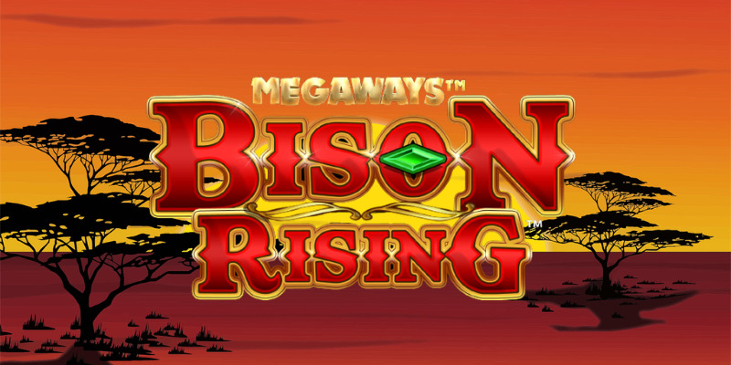 Bison Rising Megaways: Тот же бизон, вид сбоку?