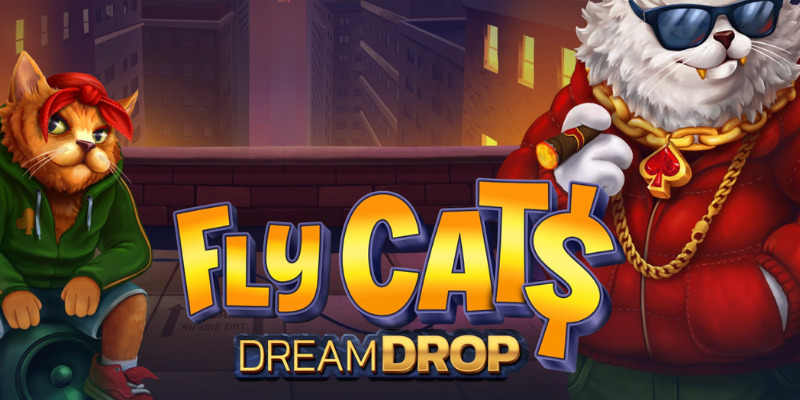 Fly Cats Dream Drop: Коты на стиле и джекпот на районе