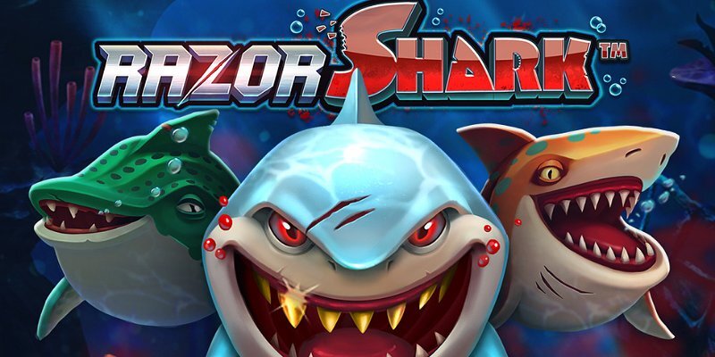 Razor Shark – слот для хайроллеров?